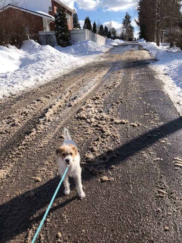 UNADJUSTEDNONRAW_thumb_8fe