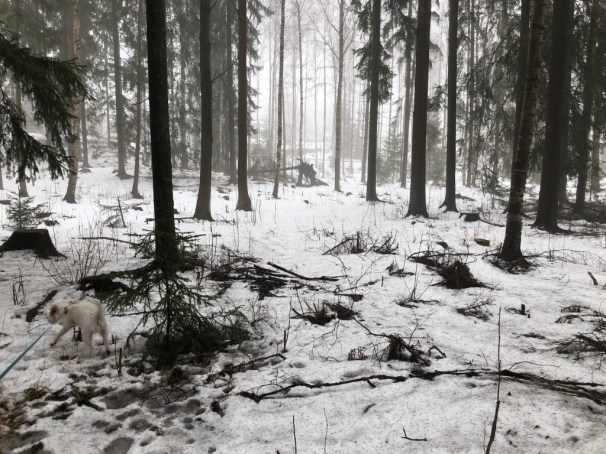 UNADJUSTEDNONRAW_thumb_904