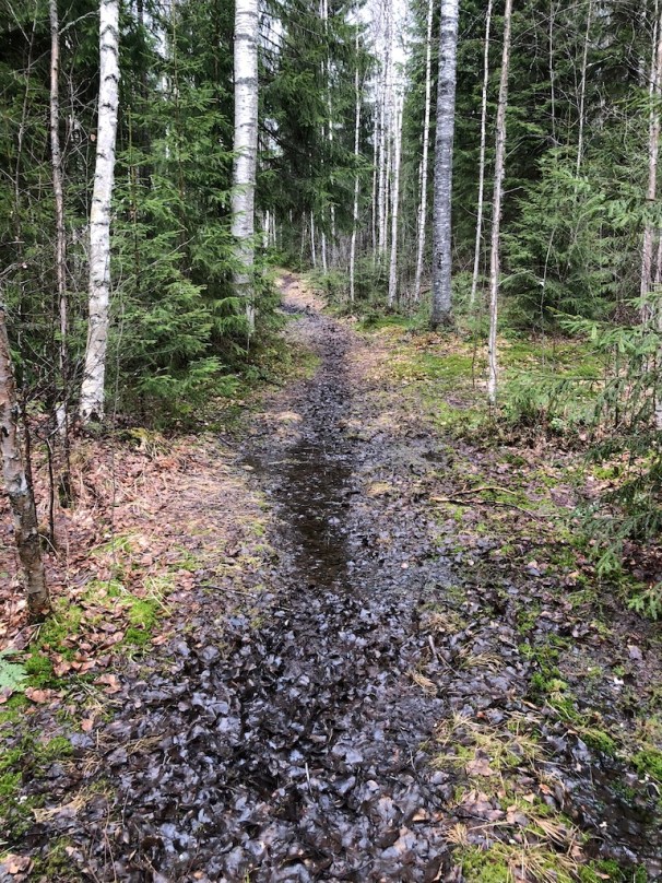 UNADJUSTEDNONRAW_thumb_94a